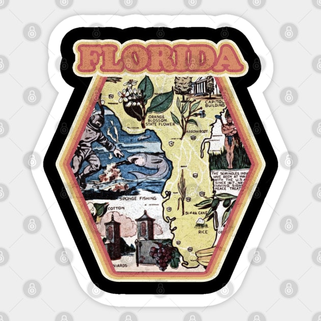 Vintage Retro 1970's Florida State Comic Book Style Sticker by Joaddo